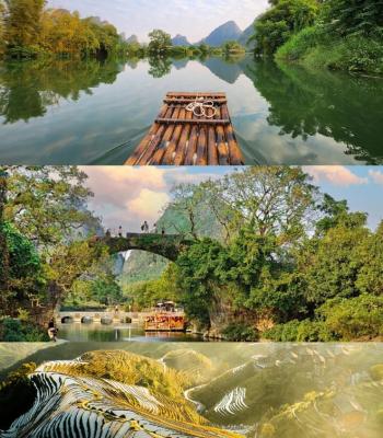 Guilin Lipu Taro - A Legendary and Delicious Ingredient