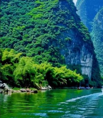 Guilin Beer - Braised Fish - A Carnival Feast on the Tongue