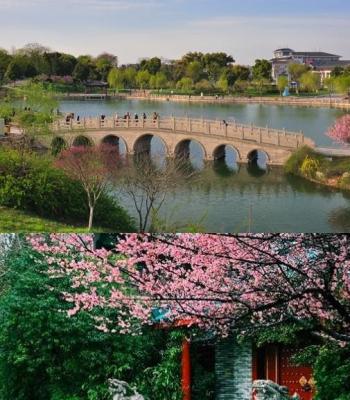 Entering Guilin - Savoring Special Dishes