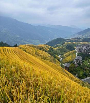 Focusing on Guilin Cuisine - The Splendor Not to Be Missed