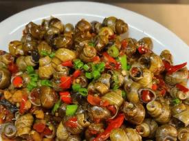 Guilin River Snails