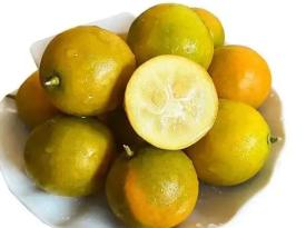 Guilin Yangshuo Kumquat